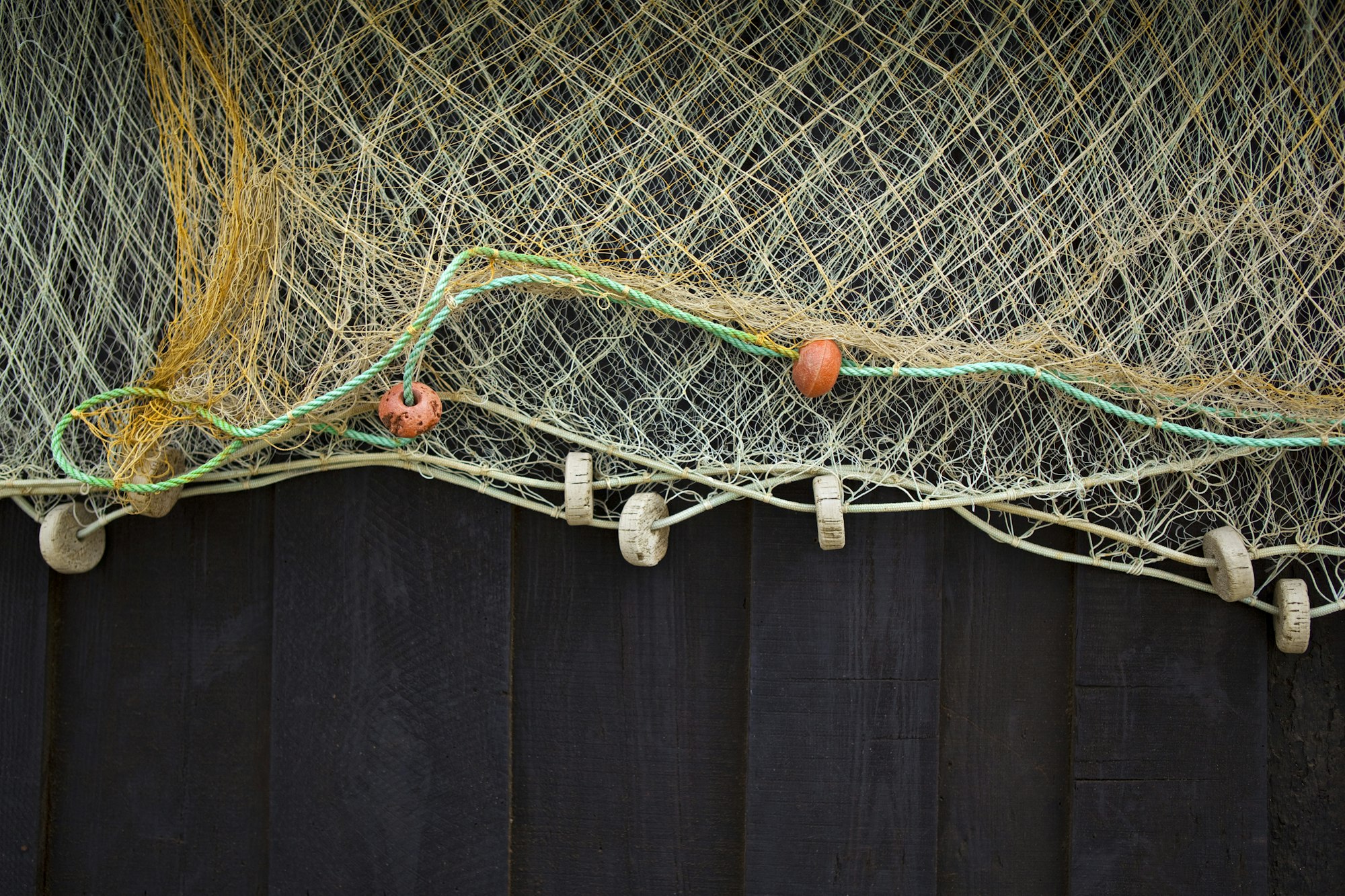 Fishing net